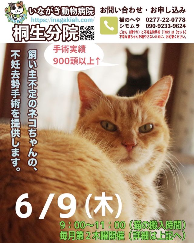 いながき動物病院 埼玉 茨城 千葉 福島 栃木 群馬で飼い主のいない猫のｔｎｒを推進する動物病院