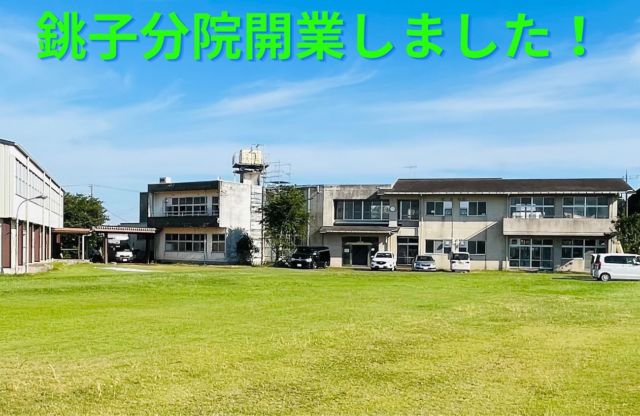 いながき動物病院 埼玉 茨城 千葉 福島 栃木 群馬で飼い主のいない猫のｔｎｒを推進する動物病院